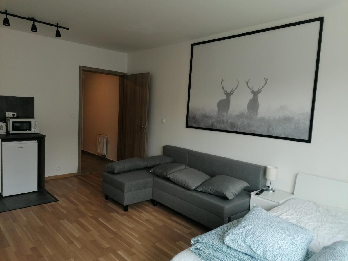 Brand New #51 With Free Secure Parking In The Center Apartament